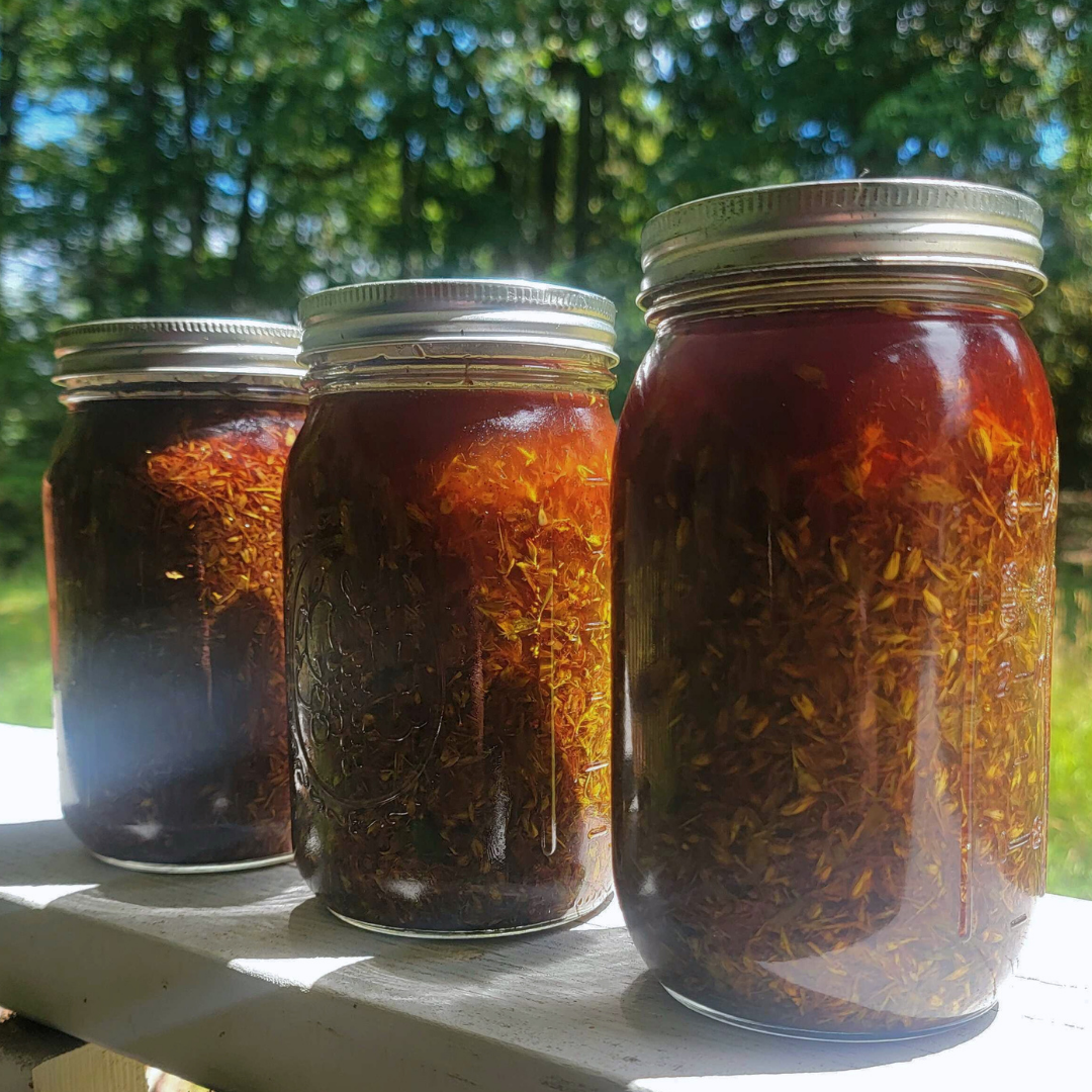 St John's Wort Oil