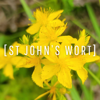 St John's Wort Oil