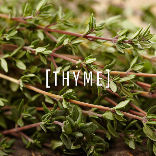 Thyme Oil