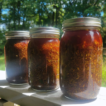 St John's Wort Oil